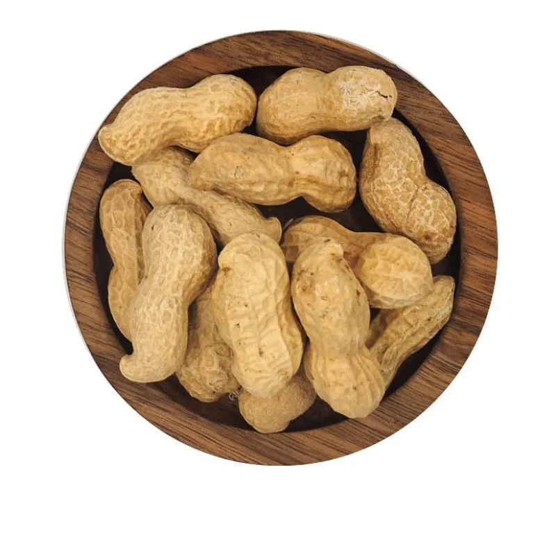 EIMER MEYVA - ERDNUSS IN DER SCHALE 2KG - 2