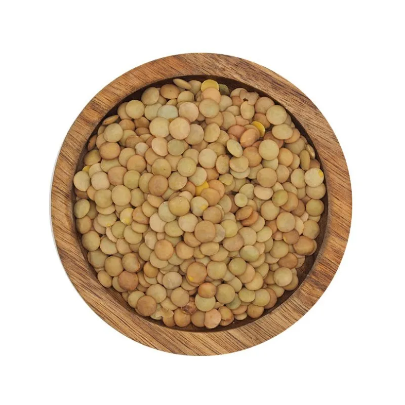 WISSAL - LENTILLES BLONDES 6/6.5mm 12x1kg - 2