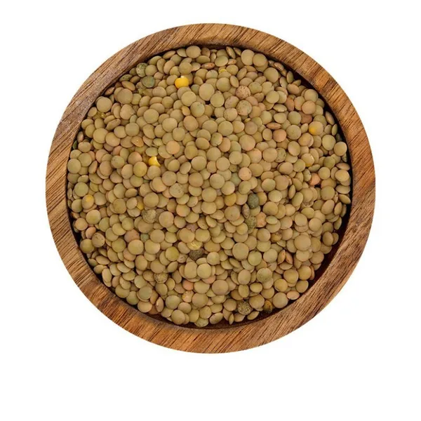WISSAL - BLONDE LENTILS 4mm 12X1K