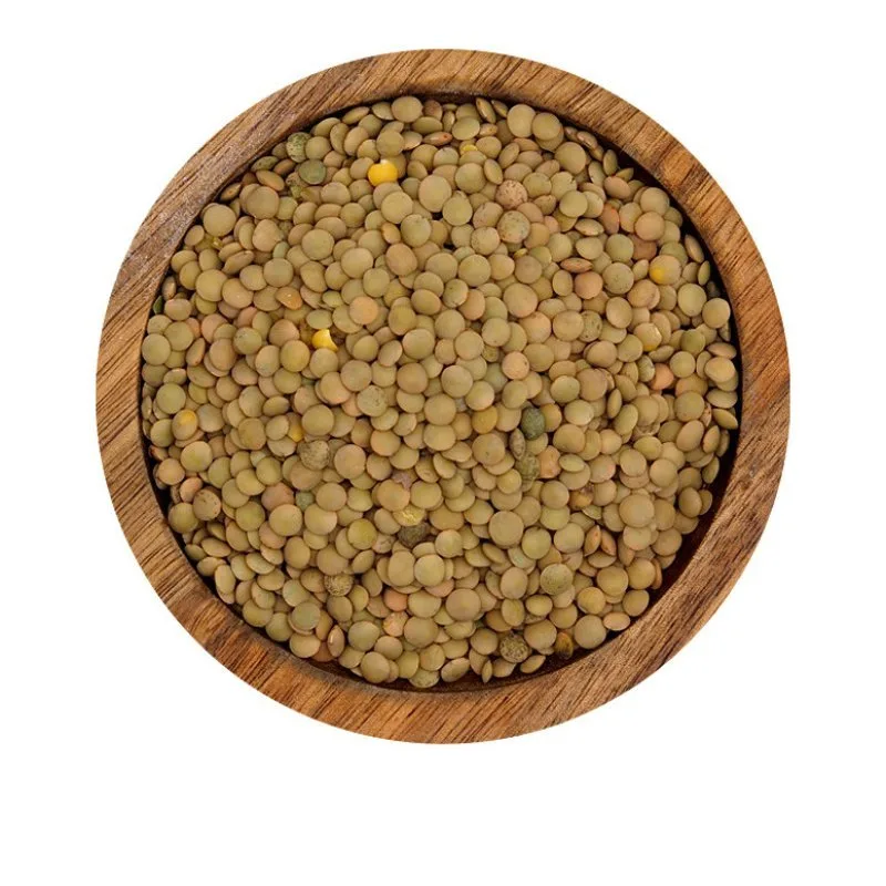 WISSAL - LENTILLES BLONDES 4mm 12X1K - 2