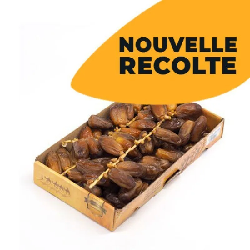 Dattel Branchette Algerien - Marke RITEDJ / TAIBATTE - 12X1KG - 2