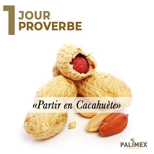 #palimex votre spécialiste des fruits secs 🐿