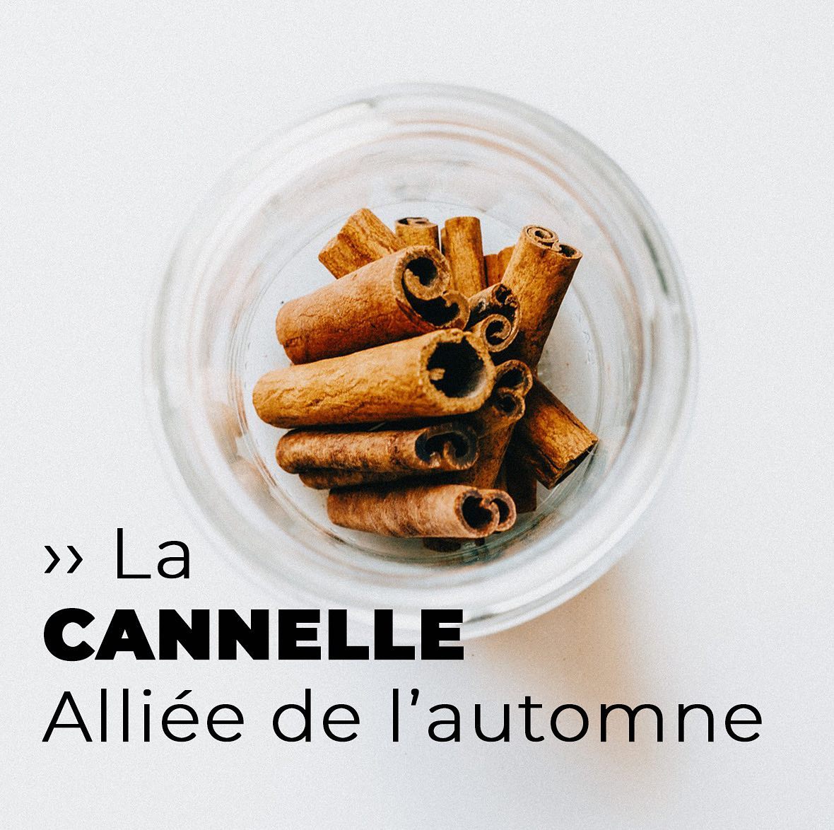 3 bonnes raisons pour commander dès maintenant votre allié…