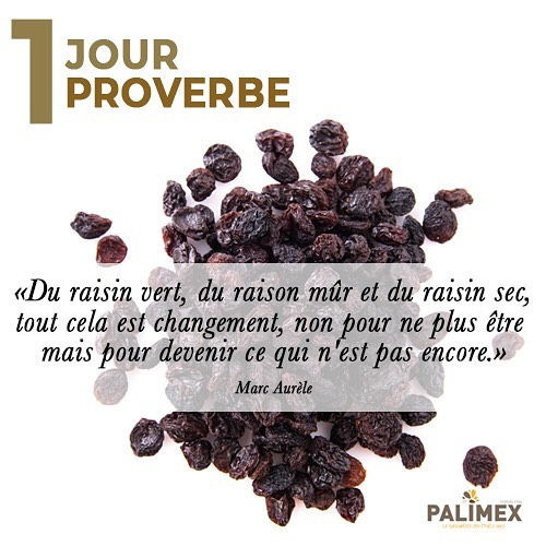 #palimex votre spécialiste des fruits secs !